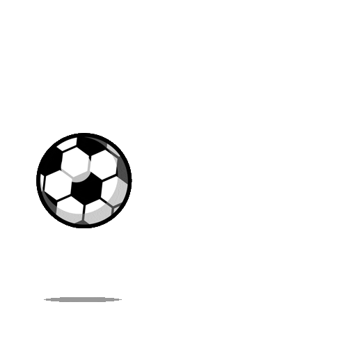 loader